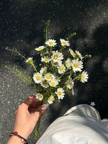 EYES CLOSED BY ROHAN RAZA 🤍