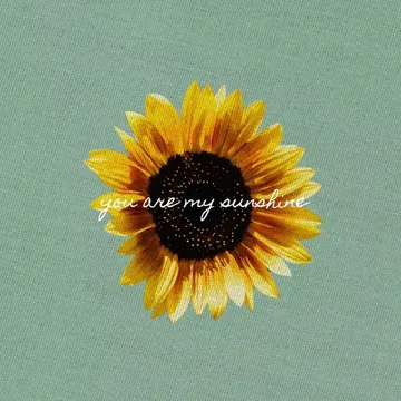 You Are My Sunshine-cover