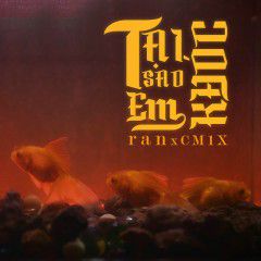 Tại Sao Em Khóc-cover