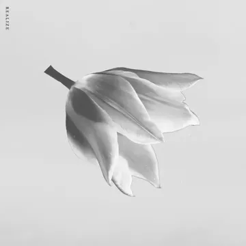Realize-cover