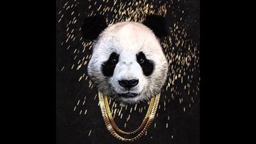 Panda-cover