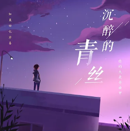沉醉的青絲(DJ版)-cover