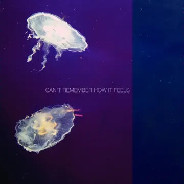 Can't Remember How It Feels-cover