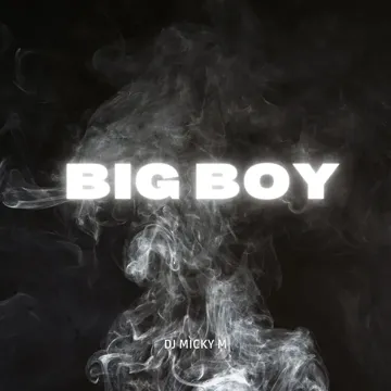 Big Boy (Speed up) (Remix)-cover
