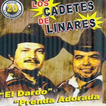 Mi Primer Amor-cover