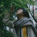 孤竹遗梦-cover