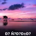 coveImg