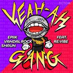 Yeah Ah Gang(Original Mix)(Remix)-cover