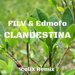 Clandestina(celiX Remix Explicit)-cover