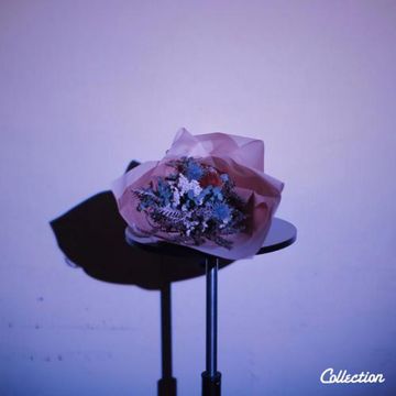 collection-endless-cover-image