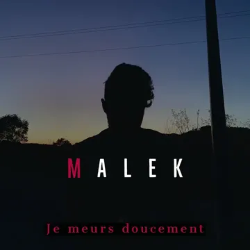 Je meurs doucement