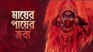 মায়ের পায়ের জবা হয়ে উঠনা ফুটে