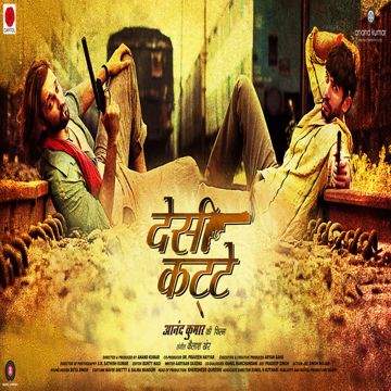 Teri Deewani-cover