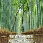 Tiếng Chày Trên Soc Bom Bo