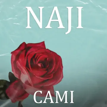 Cami-cover