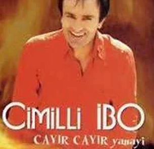 Armudu budakladım