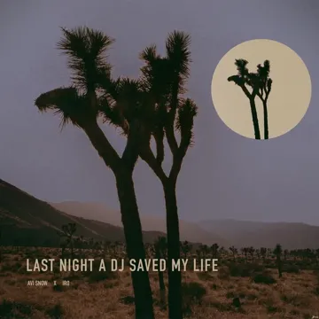 Last Night a DJ Saved My Life-cover