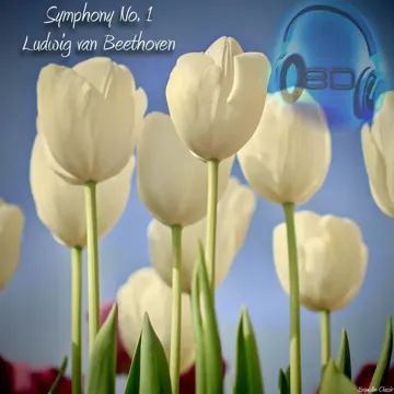 Symphony No. 1 In C Major, Op. 21- II Andante cantabile con moto - Ludwig Van Beethoven (8D Binaural Remastered - Music Therapy)-cover