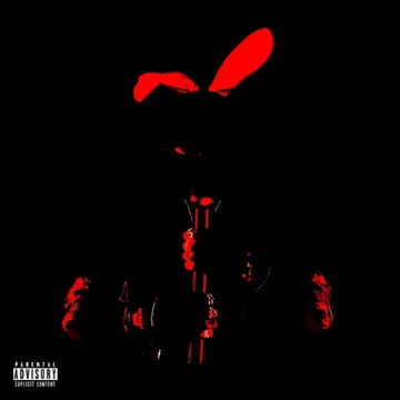 Bunny Girl-cover