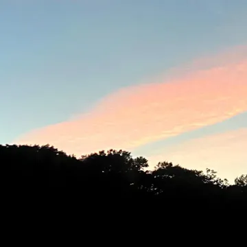 coveImg
