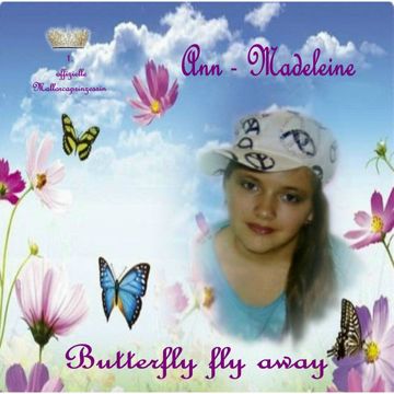 Butterfly Fly Away-cover