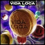Vida Loca-cover
