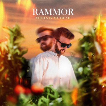 Voices in My Head-cover