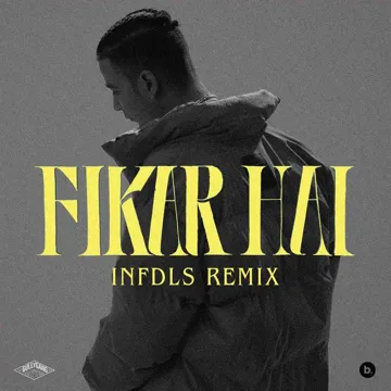 Fikar Hai (Infdls Remix)-cover