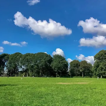 coveImg