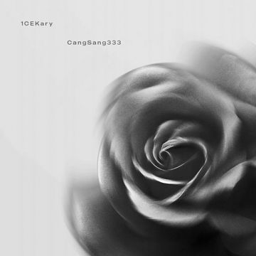 蔷薇-cover