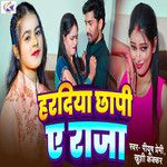 Haradiya Chhapi A Raja-cover