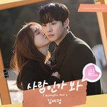 사랑인가 봐-cover