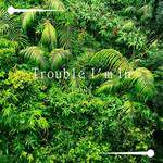 Trouble I'm In-cover