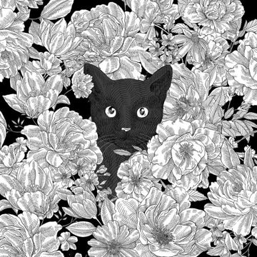 coveImg