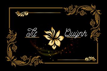 BƯỚC QUA ĐỜI NHAU ( beat chuẩn ) / Tử Quỳnh
