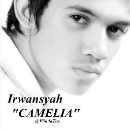 Camelia (Remix Vers.)-cover