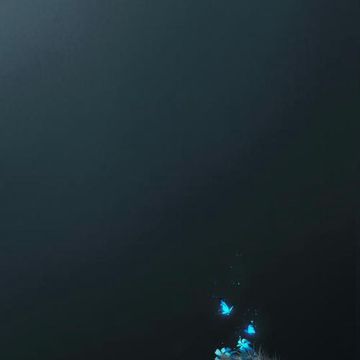 coveImg