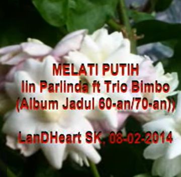 Melati Putih-cover