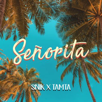 Senorita-cover