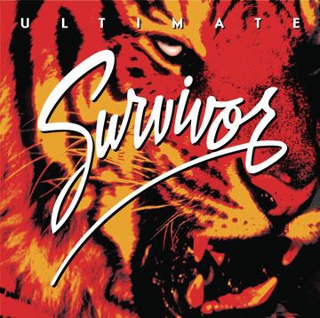 Eye of the tiger survivor-cover