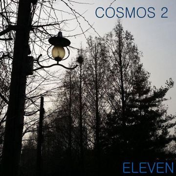 Cosmos 2-cover