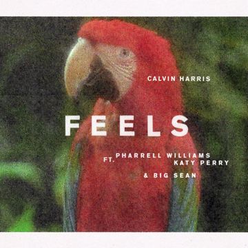 Feels-cover