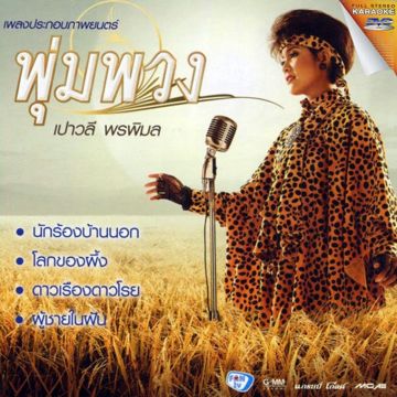นักร้องบ้านนอก-cover