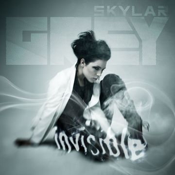 Invisible-cover