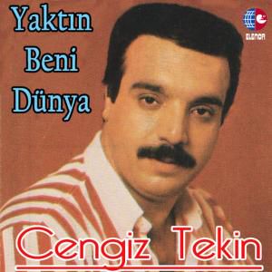 ipek mendil dane dane