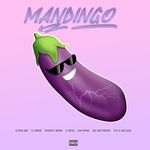 Mandingo(feat. El Mega, El Jodon, Los Solteroski, Tief El Bellaco, Jeison el Mono & Sin Freno)-cover