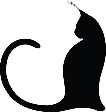 coveImg
