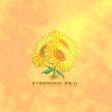 太阳花的花语-cover
