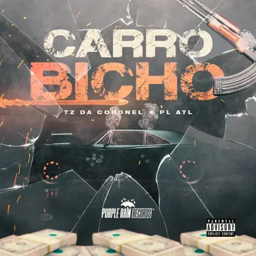 Carro Bicho-cover