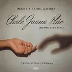 Chale Jaana Phir (Humko Tere Bina)-cover